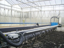 Solar sludge drying plant